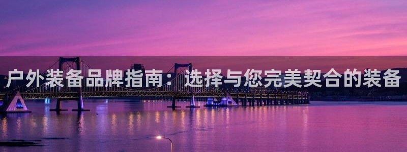 新宝gg软件下载