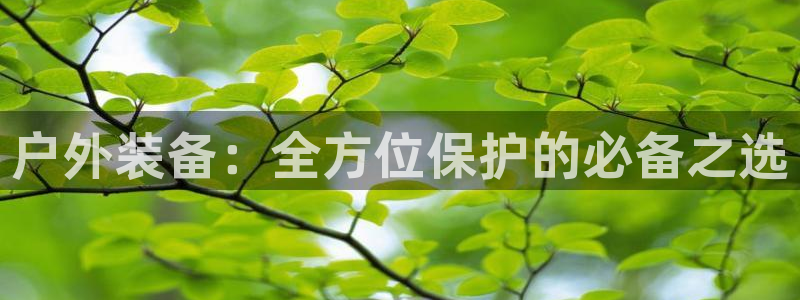 x新宝gg