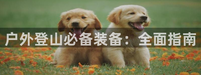 新宝GG手机客户端