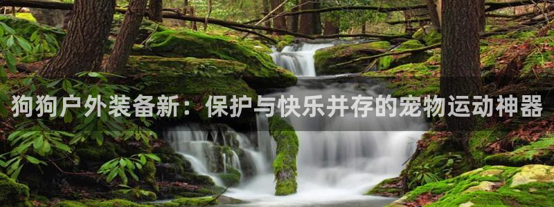 新宝gg招商致胜团队