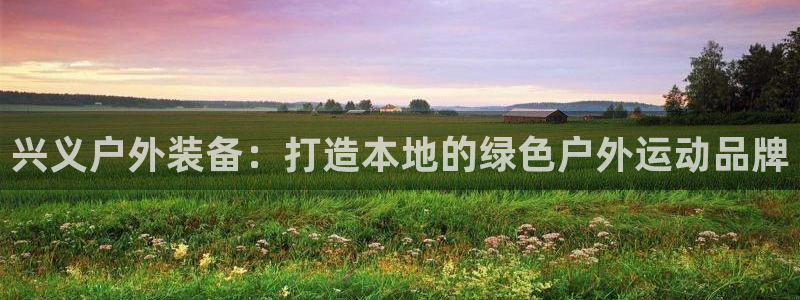 新宝gg打发