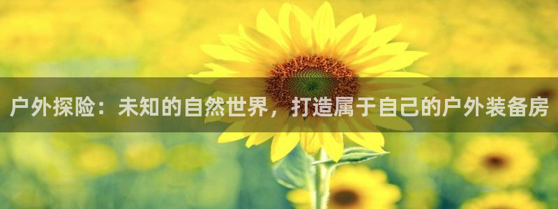 新宝gg用哪个浏览器