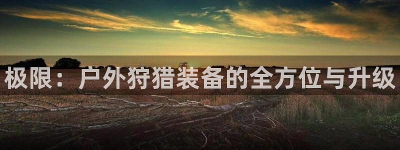 新宝gg论坛
