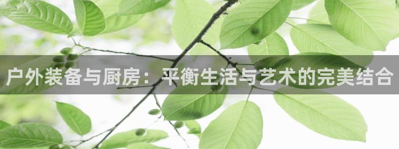 新宝gg成立
