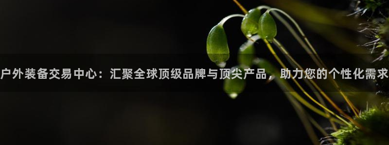 新宝gg线长