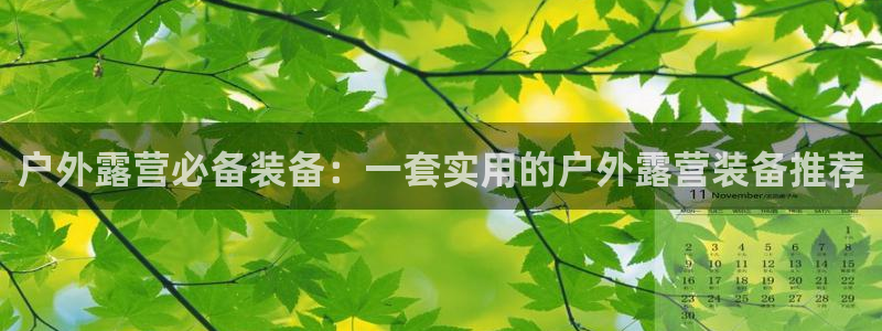 新宝gg q