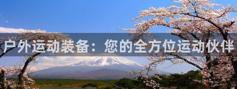 新宝gg如何赚钱