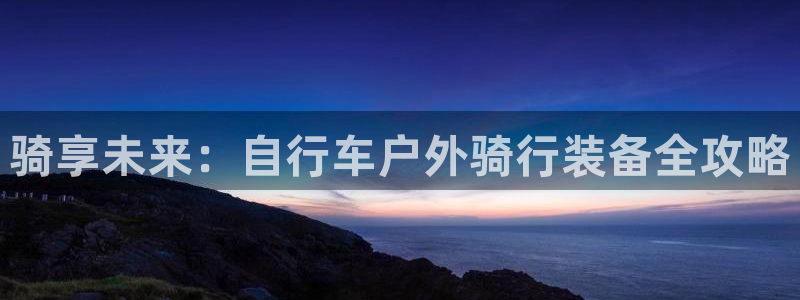 新宝gg工资