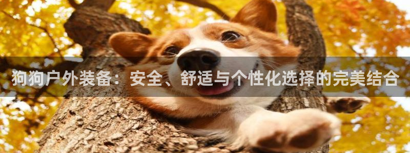 新宝gg咨询55312