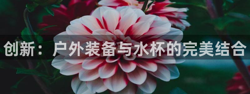 新宝6娱乐新宝gg