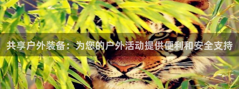 新宝gg好吗