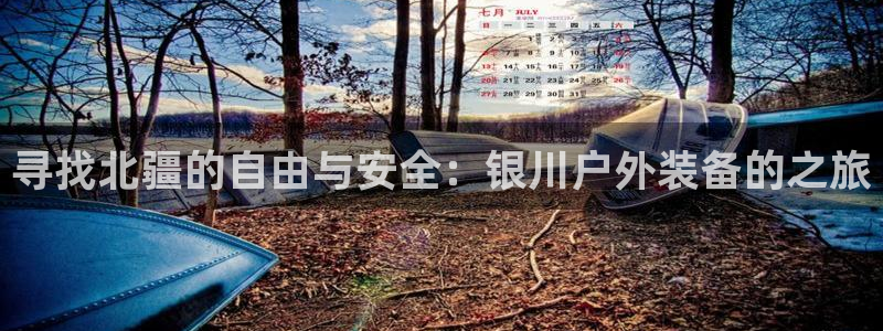 新宝一gg测速
