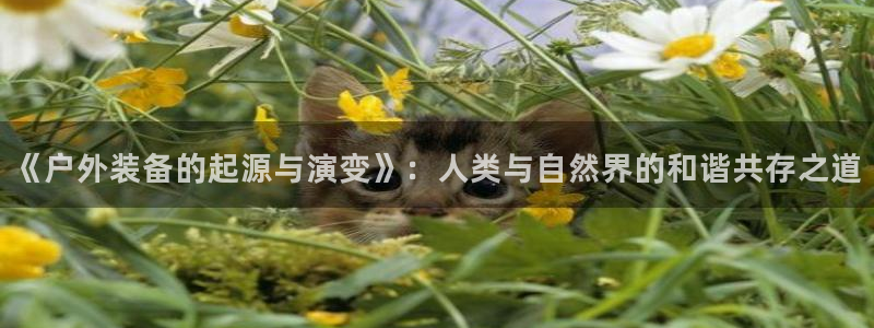 新宝gg会员