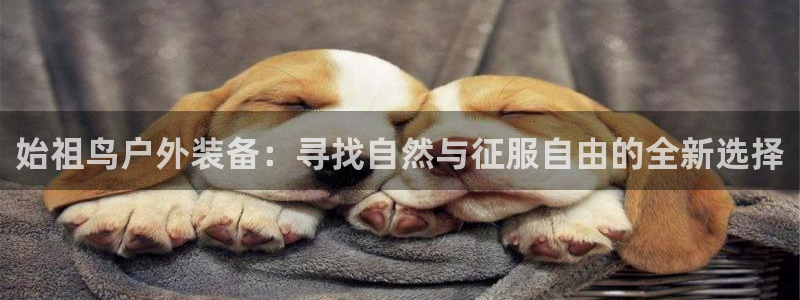 新宝gg网站