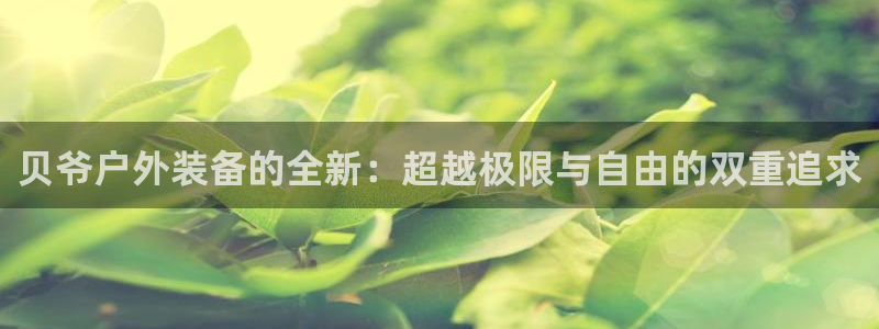 新宝g新宝gg