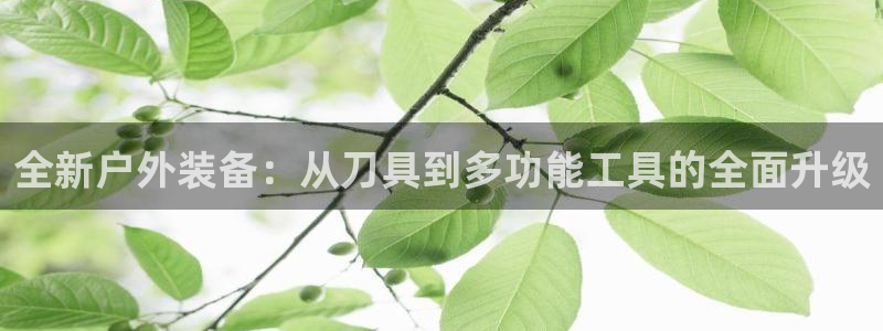 新宝gg反水