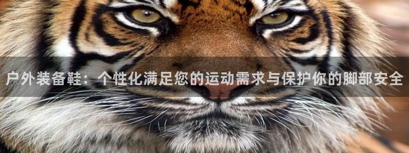 新宝gg博彩