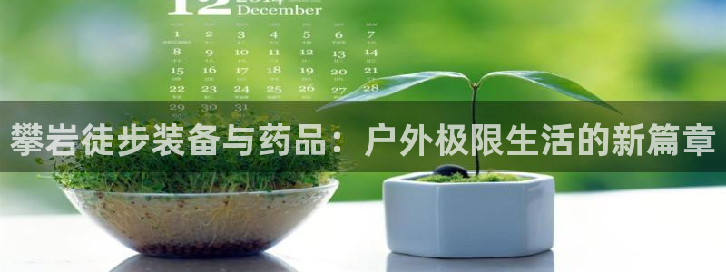 新宝gg主管都是谁