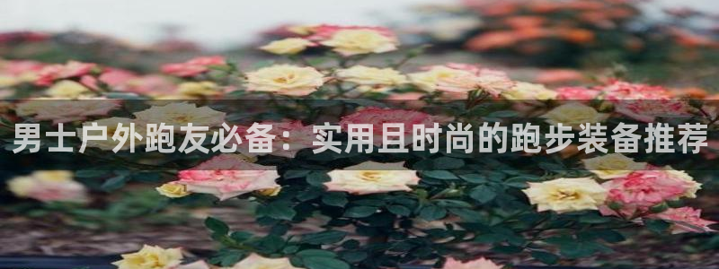 新宝太阳 gg