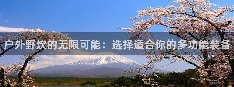 新宝gg总代理