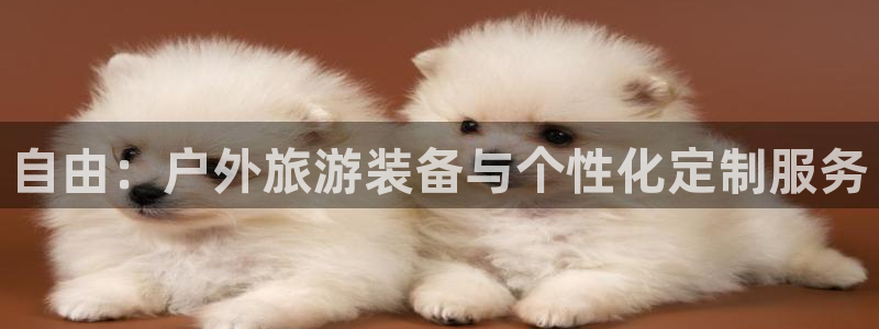 新宝gg注销