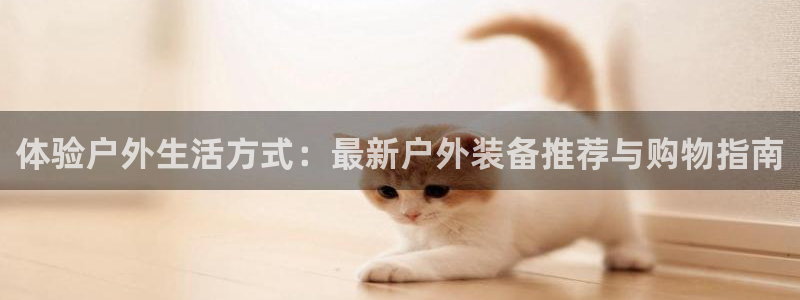 新宝gg 创造