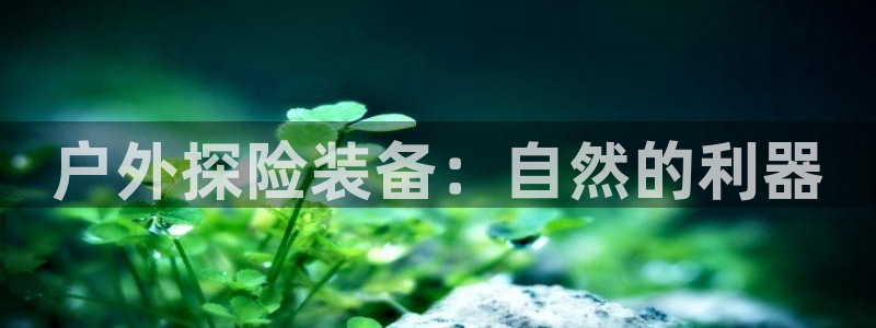 新宝gg辅助