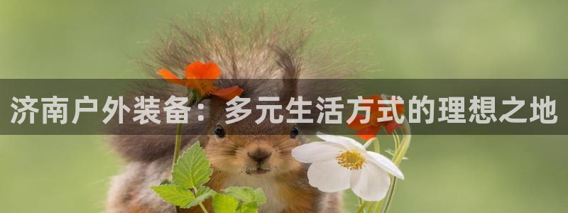 新宝gg类似