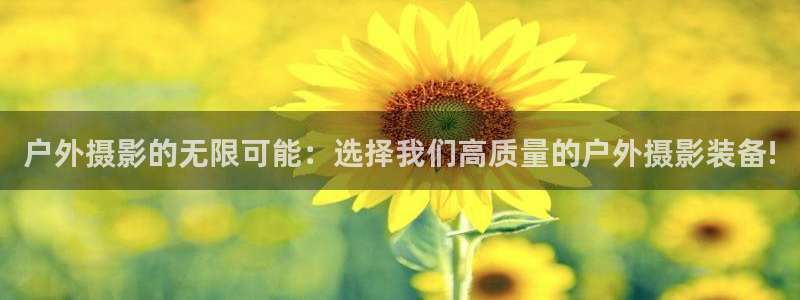 新宝gg游戏
