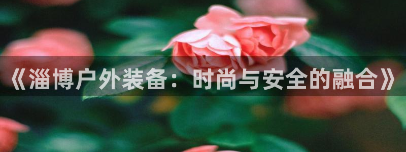 新宝gg娱乐-上鼎狐网