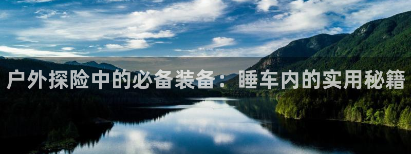 新宝gg平台下载安装
