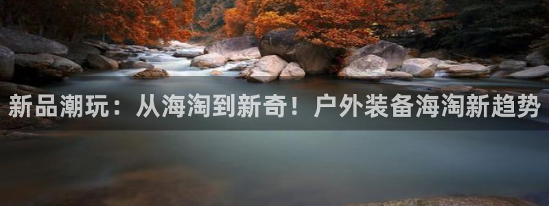 新宝gg网点