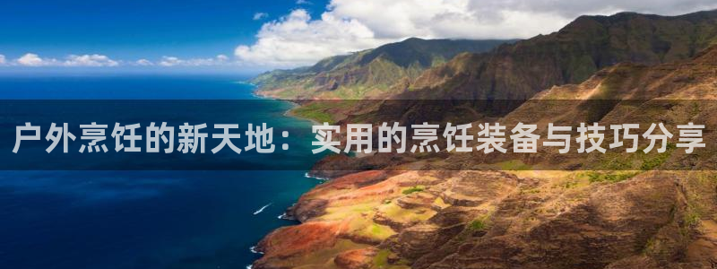新宝gg挂机软件下载