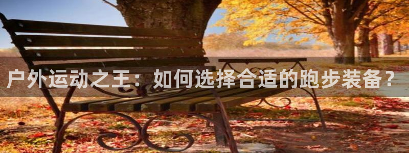 新宝gg平