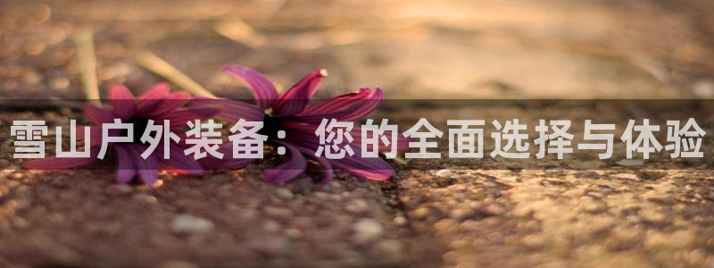 新宝gg开号