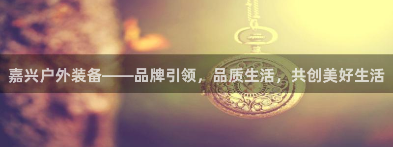新宝GG股东