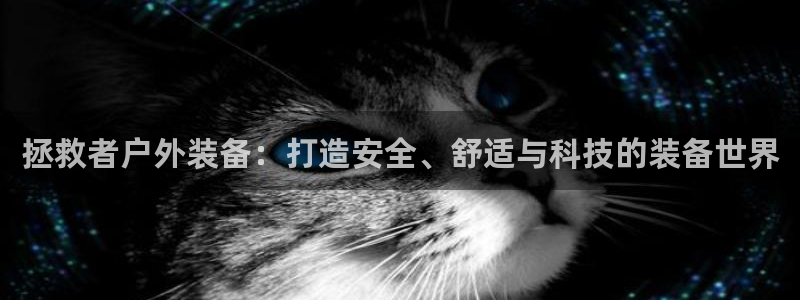 新宝gg