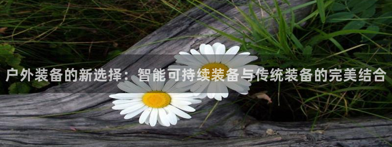 新宝gg佣金