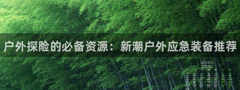 新宝gg 登陆