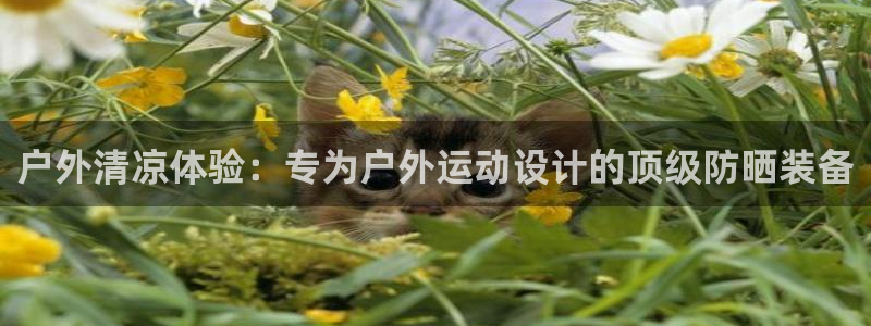 新宝gg游戏