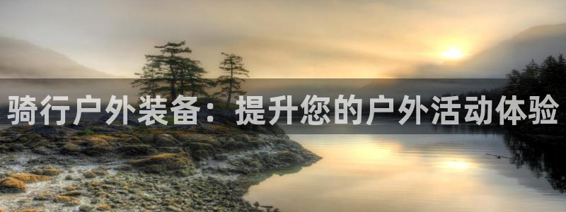 新宝gg挂机app