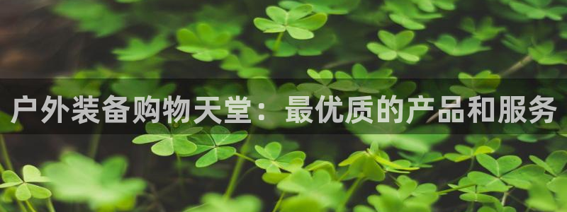 新宝gg信息