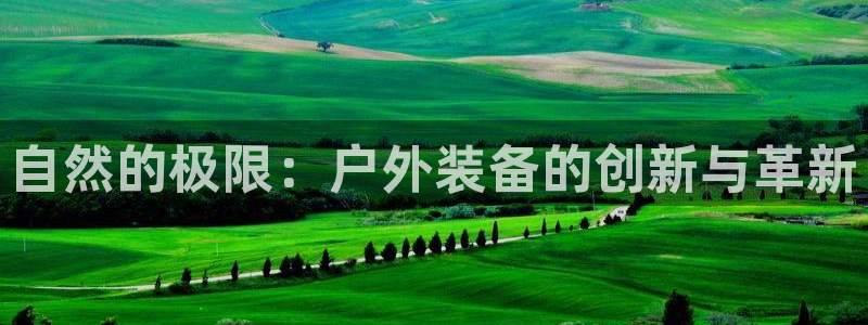 新宝gg有规律么