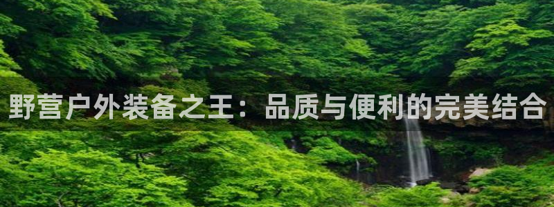 新宝gg客户端下载