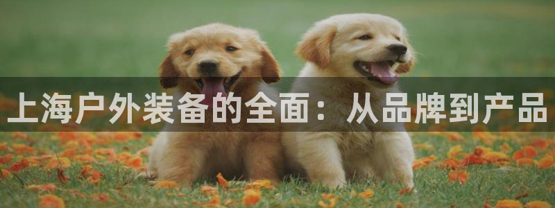 【新宝gg】