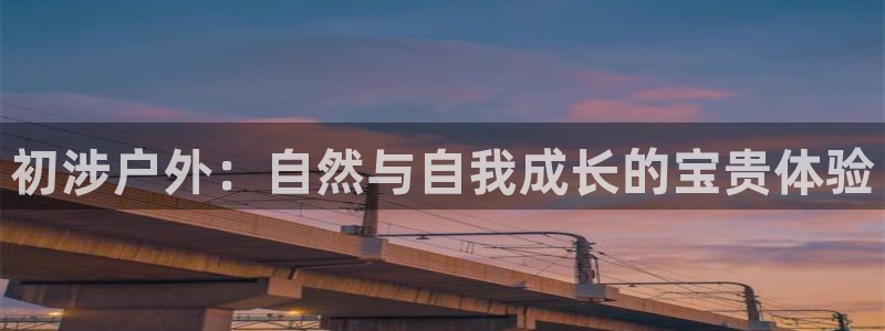新宝gg开号