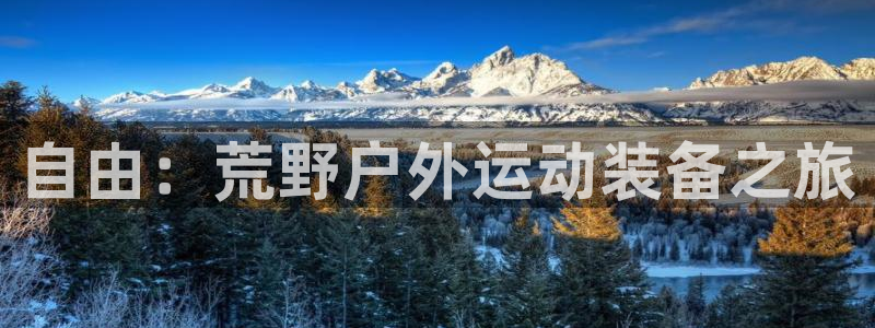 新宝gg漏洞