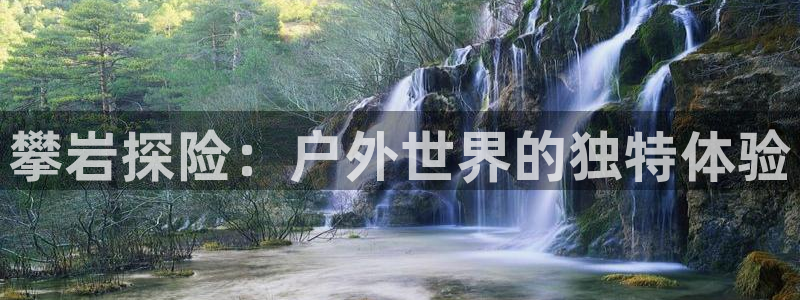 新宝gg最