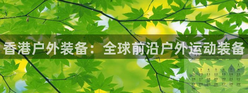 新宝gg挂机软件下载
