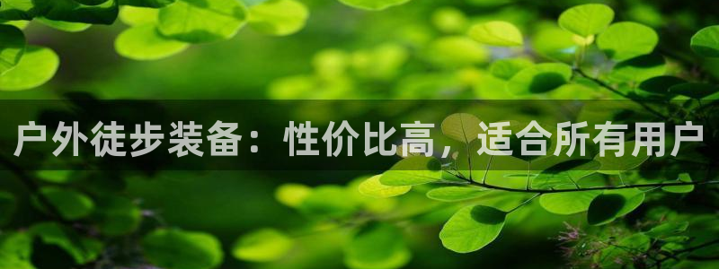 新宝gg入口网址